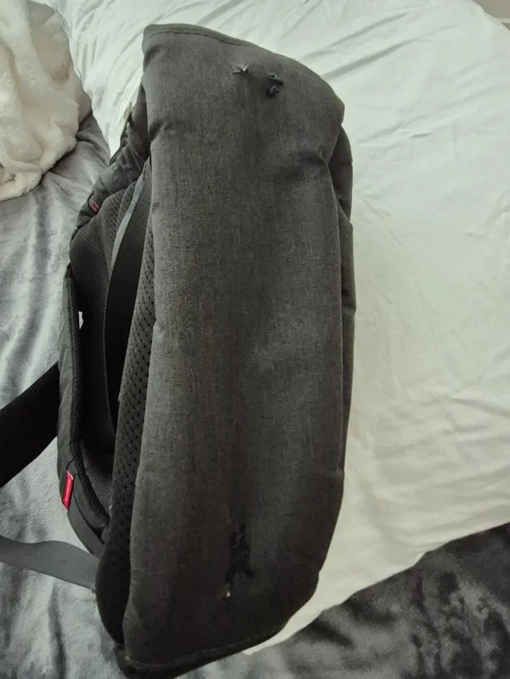 Tigernu backpack 15